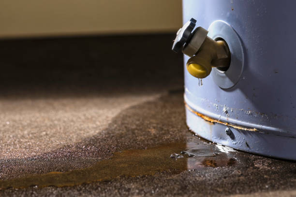 Best Mold removal after water damage  in Anderson Creek, NC