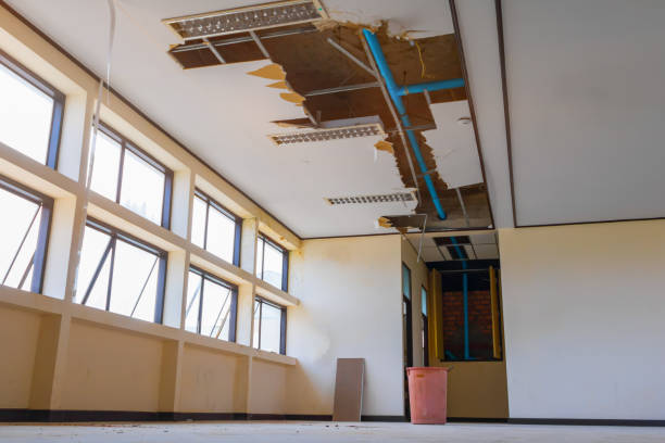 Best Flood damage cleanup  in Anderson Creek, NC