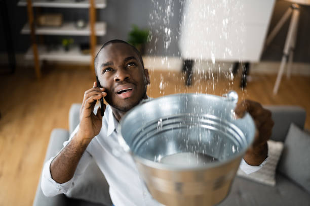 Best Water damage cleanup near me  in Anderson Creek, NC