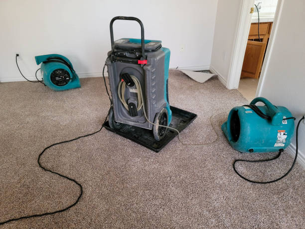 Best Sewage cleanup and water damage restoration  in Anderson Creek, NC