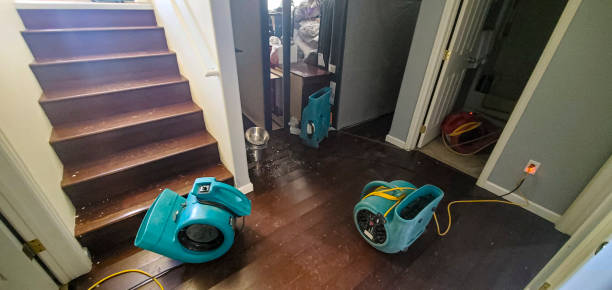 Best Carpet water damage restoration  in Anderson Creek, NC