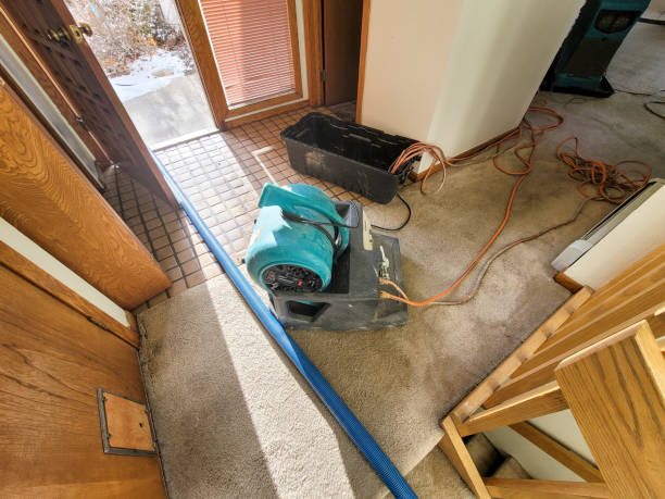 Best Basement water damage restoration  in Anderson Creek, NC