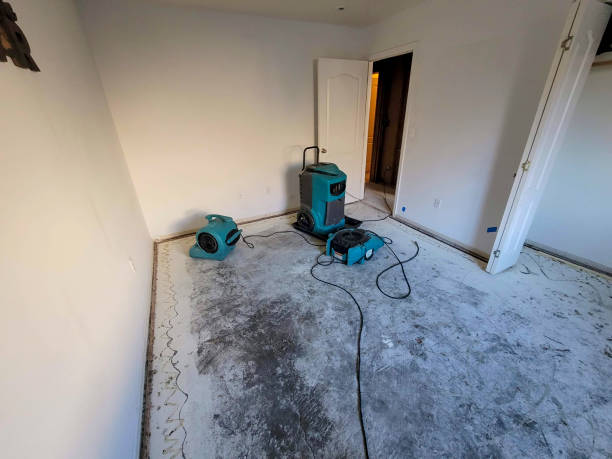 Best Water damage restoration specialists  in Anderson Creek, NC