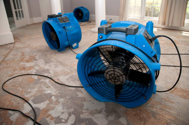 Best Fire Damage Restoration  in Anderson Creek, NC