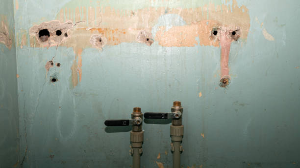 Best Water damage restoration near me  in Anderson Creek, NC