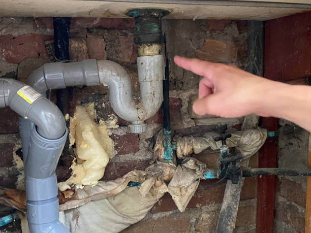 Best Water damage restoration cost  in Anderson Creek, NC