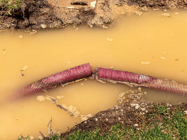 Best Flood restoration services  in Anderson Creek, NC