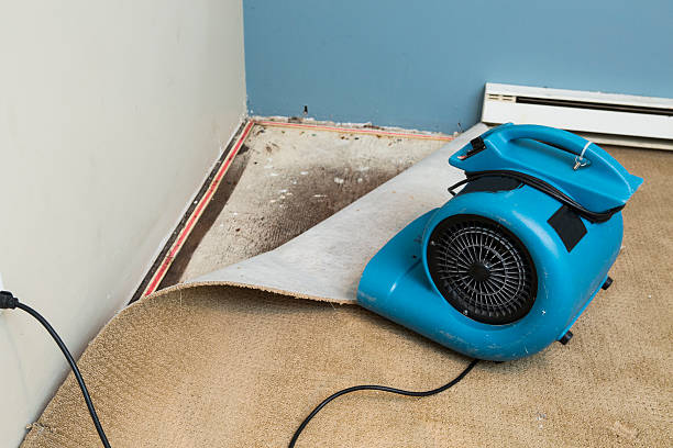 Carpet water damage restoration in Anderson Creek, NC