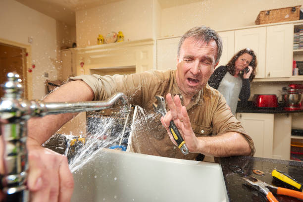 Best Mold removal after water damage  in Anderson Creek, NC